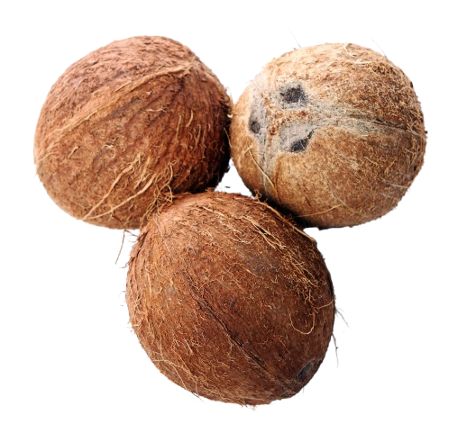 Fully husked coconut